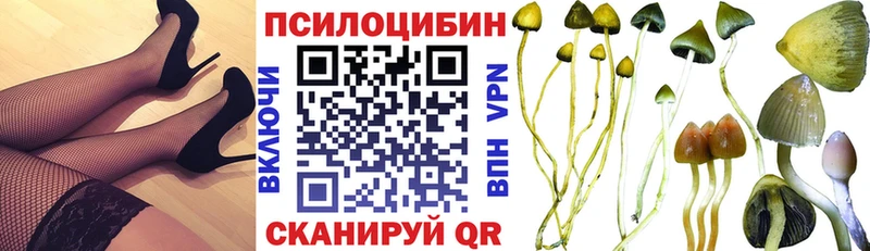 Псилоцибиновые грибы GOLDEN TEACHER  Купить  Черкесск 